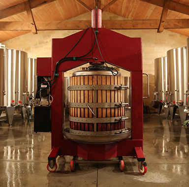 vinification