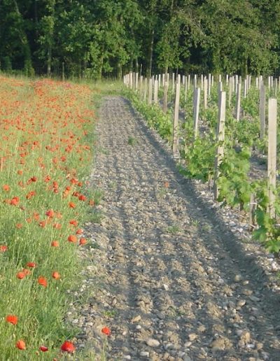 Contactez l'équipe du Château Mille Roses à Macau en Médoc 25 chateau mille roses decouvrez notre univers 3