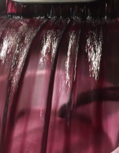 Les vins de Château Mille Roses 6 chateau mille roses 39